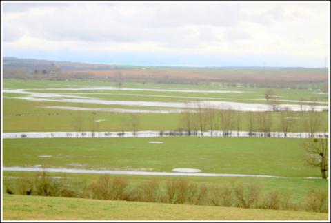 La Meuse en crue à Sorcy-Saint-Martin