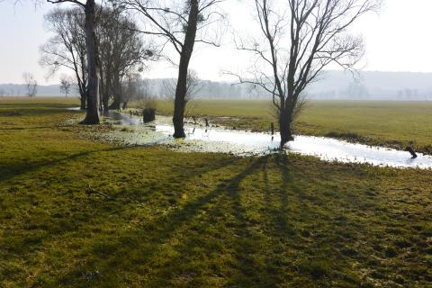 Annexe hydraulique de la Meuse